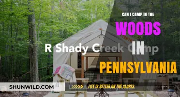 Camping in Pennsylvania's Woods: Rules, Tips, and Best Spots