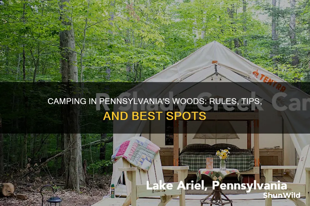 can i camp in the woods in pennsylvania