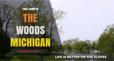 Camping in Michigan's Woods: Rules, Tips, and Best Spots