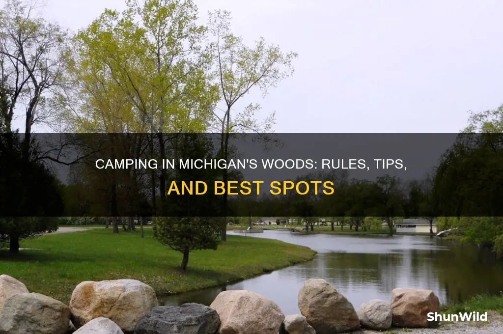 can i camp in the woods michigan