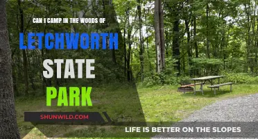 Camping in Letchworth State Park: Exploring the Woods and Rules