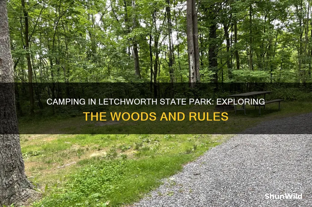 can i camp in the woods of letchworth state park