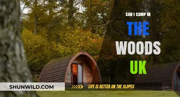Camping in UK Woods: Legal Tips and Top Spots