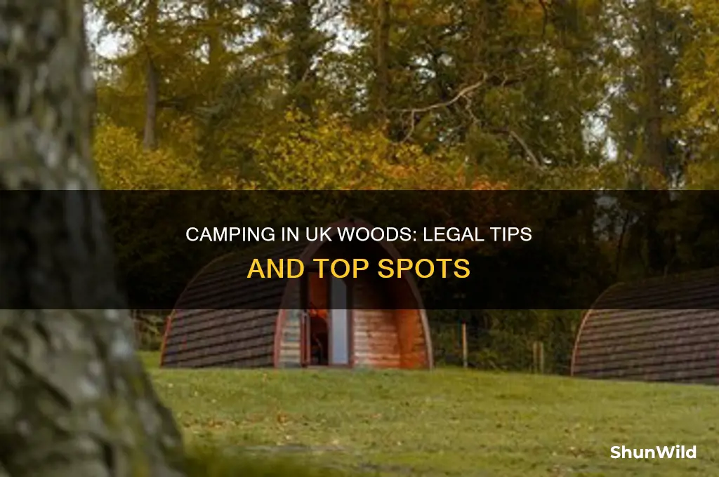 can i camp in the woods uk