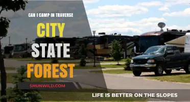 Camping in Traverse City State Forest: Rules, Tips, and Best Spots