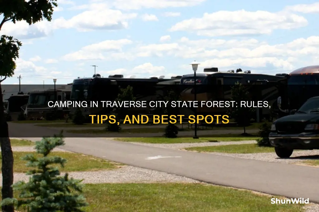 can i camp in traverse city state forest
