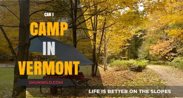 Exploring Vermont's Great Outdoors: Camping Tips and Top Spots
