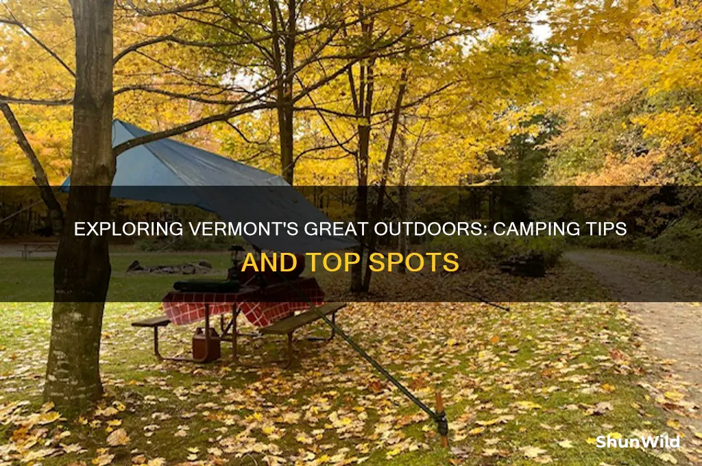 can i camp in vermont