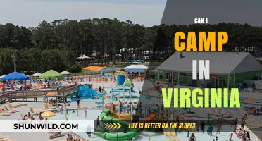 Exploring Virginia's Great Outdoors: Camping Options and Tips for Visitors