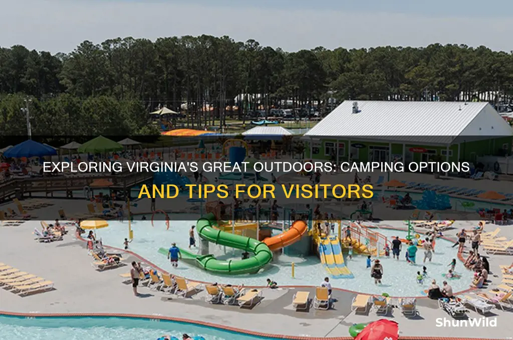 can i camp in virginia