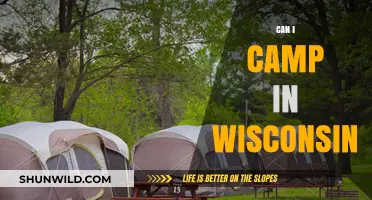 Exploring Wisconsin's Great Outdoors: Camping Options and Tips for Visitors