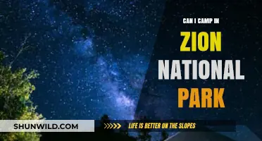 Camping in Zion National Park: Tips, Permits, and Best Spots