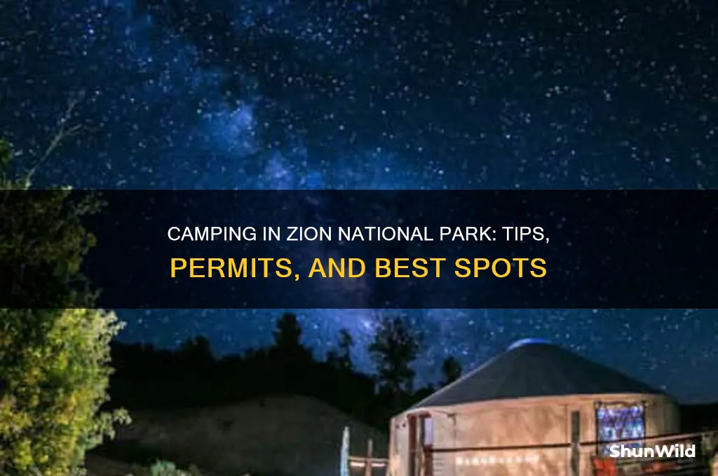 can i camp in zion national park