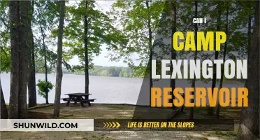 Camping at Lexington Reservoir: Rules, Tips, and What to Expect