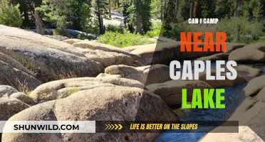 Camping Near Caples Lake: Tips, Rules, and Best Spots