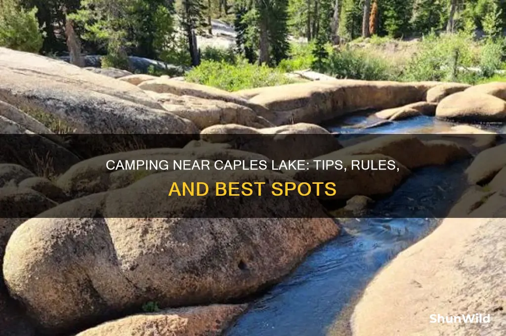 can i camp near caples lake