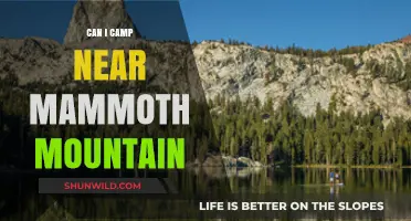 Camping Near Mammoth Mountain: Tips, Locations, and What to Expect