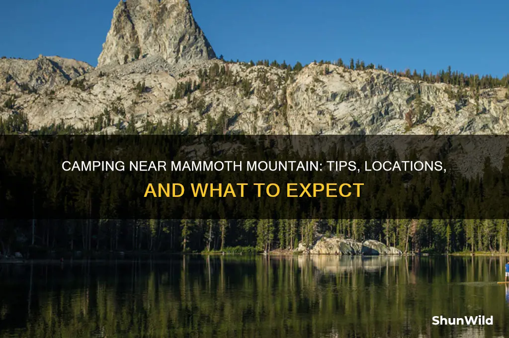can i camp near mammoth mountain