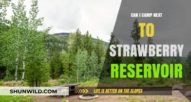 Camping Near Strawberry Reservoir: Tips, Rules, and Best Spots