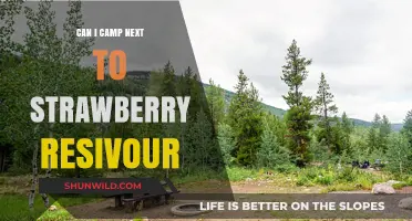Camping Near Strawberry Reservoir: Rules, Tips, and Best Spots