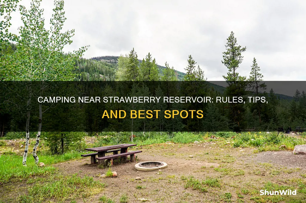 can i camp next to strawberry resivour