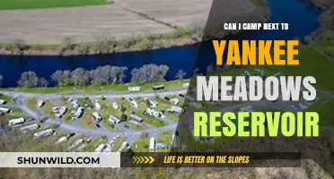 Camping by Yankee Meadows Reservoir: Rules, Tips, and What to Expect