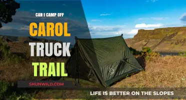 Exploring Carol Truck Trail: Camping Options and Tips for Adventure Seekers