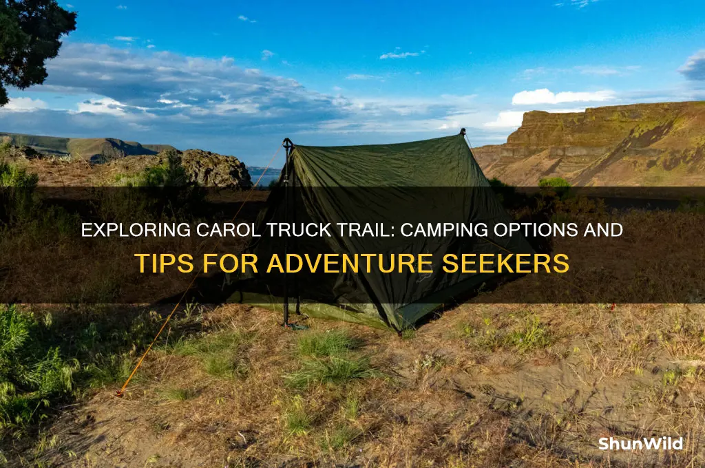 can i camp off carol truck trail