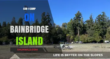 Camping on Bainbridge Island: A Guide to Rules, Spots, and Tips