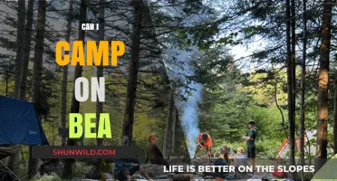 Can You Camp on Bea? Exploring Options and Regulations for Camping