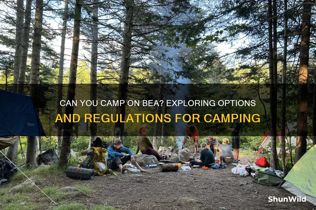 can i camp on bea