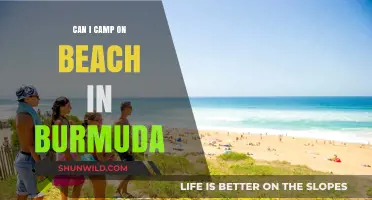 Camping on Bermuda's Beaches: Rules, Tips, and Best Spots