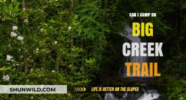 Camping on Big Creek Trail: Rules, Tips, and What to Expect