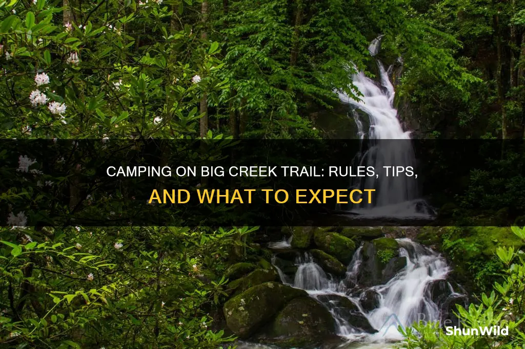 can i camp on big creek trail