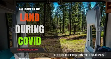 Camping on BLM Land During COVID: What You Need to Know