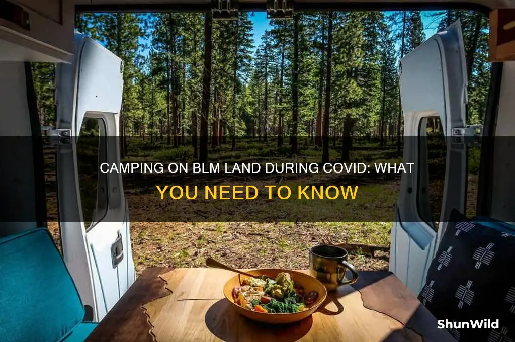 can i camp on blm land during covid