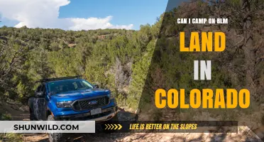 Camping on BLM Land in Colorado: Rules, Tips, and Locations