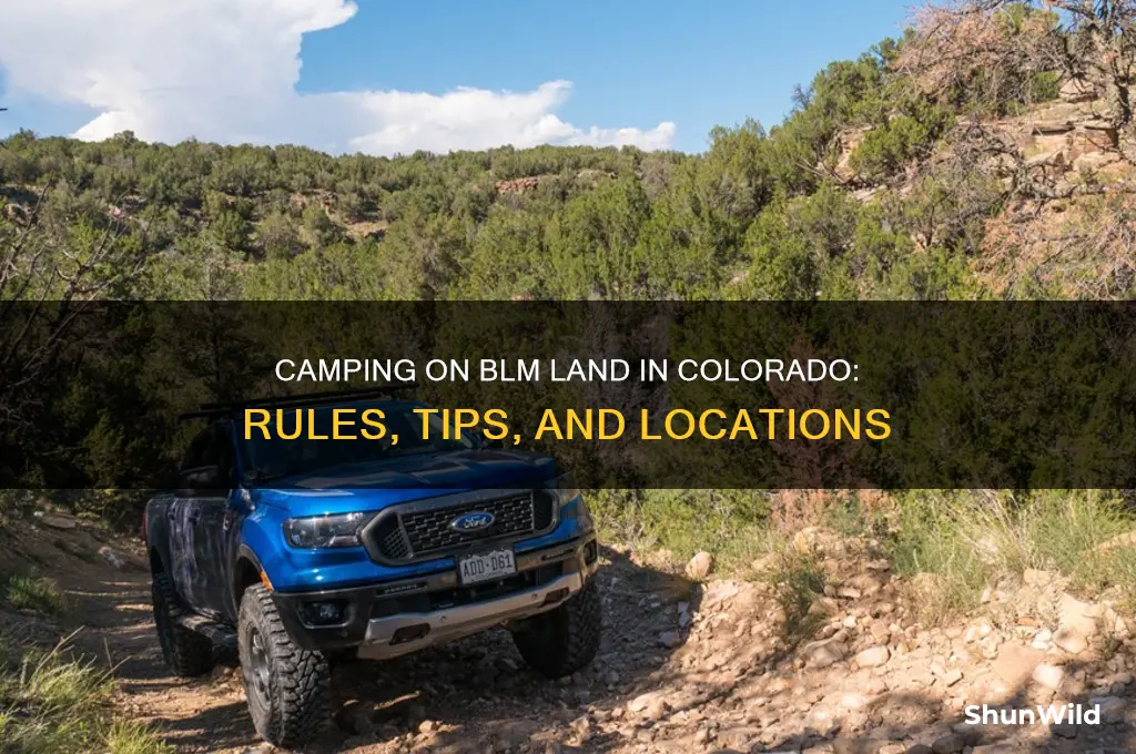 can i camp on blm land in colorado