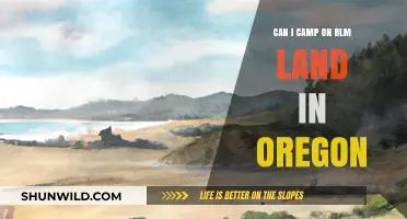 Camping on BLM Land in Oregon: Rules, Tips, and Locations