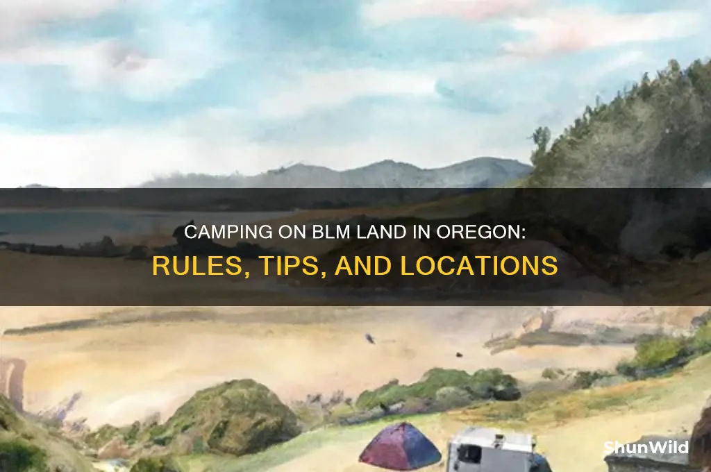 can i camp on blm land in oregon