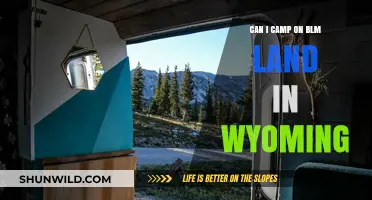Camping on BLM Land in Wyoming: Rules, Tips, and Locations