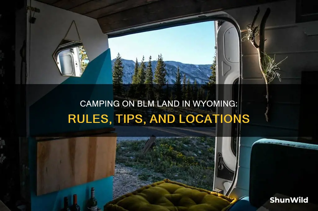 can i camp on blm land in wyoming