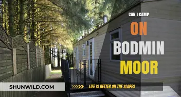 Camping on Bodmin Moor: Rules, Tips, and Best Spots to Stay