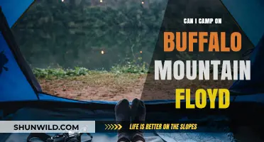 Camping on Buffalo Mountain, Floyd: Rules, Tips, and What to Expect