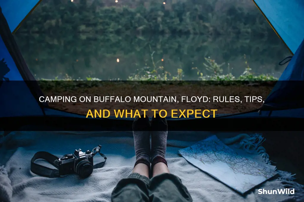 can i camp on buffalo mountain floyd