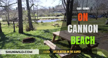 Camping on Cannon Beach: Rules, Tips, and What You Need to Know