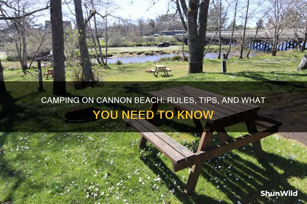 can i camp on cannon beach