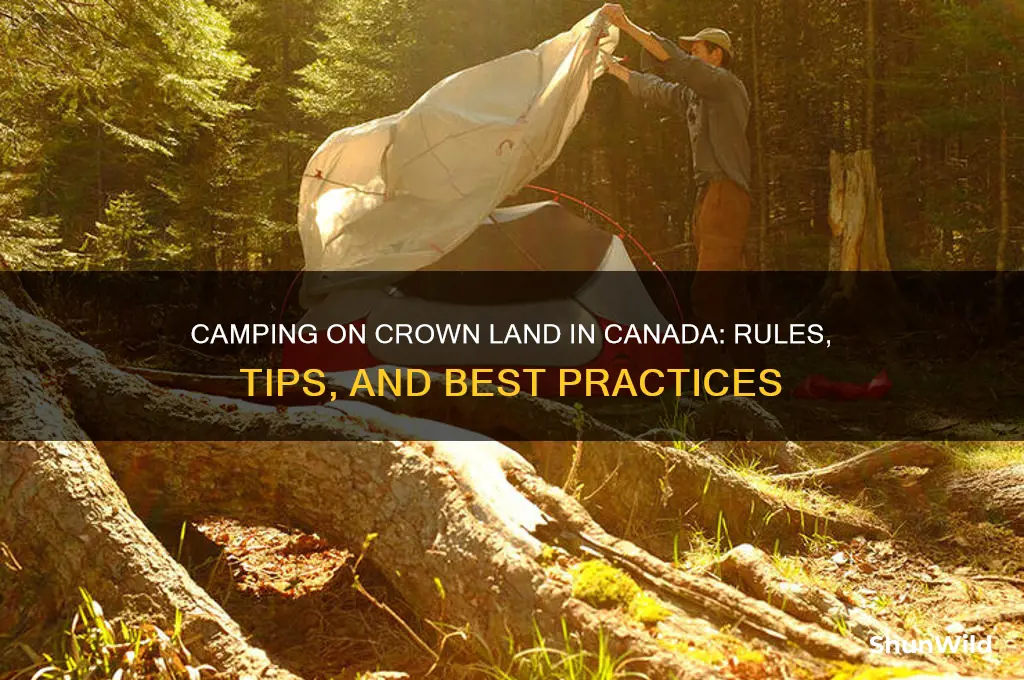 can i camp on crown landed in canada