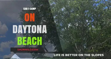 Camping on Daytona Beach: Rules, Tips, and What You Need to Know