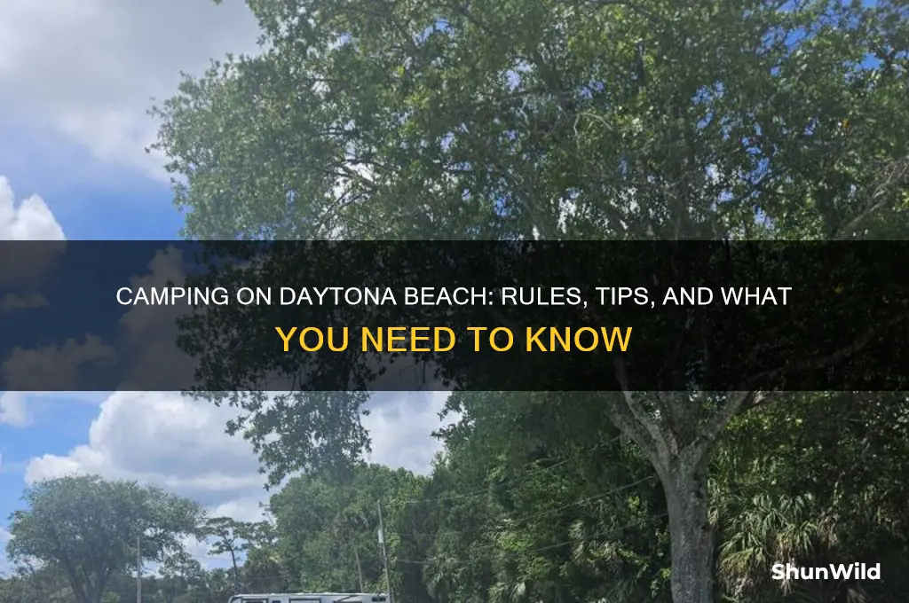 can i camp on daytona beach